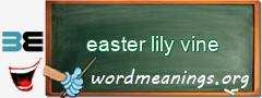 WordMeaning blackboard for easter lily vine
